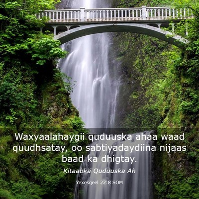 Picture 03 - Yexesqeel 22:8 SOM - Waxyaalahaygii quduuska ahaa waad quudhsatay, oo - Bible Verse Picture