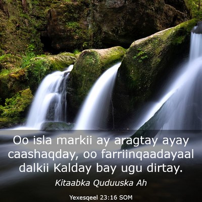Picture 03 - Yexesqeel 23:16 SOM - Oo isla markii ay aragtay ayay caashaqday, oo - Bible Verse Picture