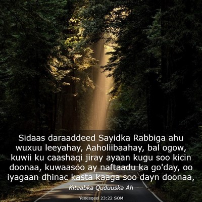 Picture 03 - Yexesqeel 23:22 SOM - Sidaas daraaddeed Sayidka Rabbiga ahu wuxuu - Bible Verse Picture