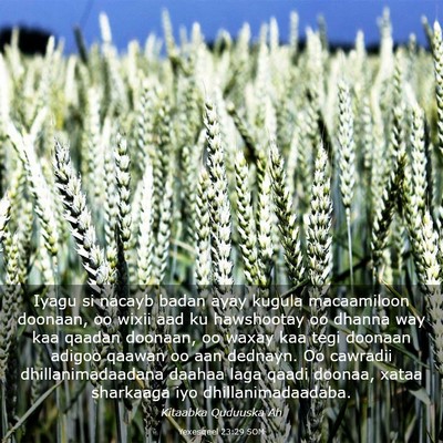 Picture 03 - Yexesqeel 23:29 SOM - Iyagu si nacayb badan ayay kugula macaamiloon - Bible Verse Picture