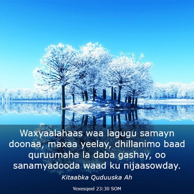 Picture 03 - Yexesqeel 23:30 SOM - Waxyaalahaas waa lagugu samayn doonaa, maxaa - Bible Verse Picture