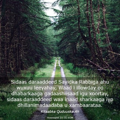Picture 03 - Yexesqeel 23:35 SOM - Sidaas daraaddeed Sayidka Rabbiga ahu wuxuu - Bible Verse Picture