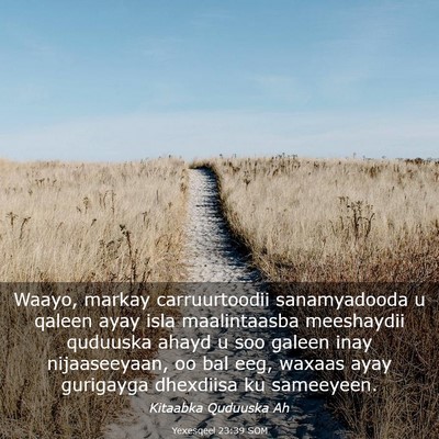 Picture 03 - Yexesqeel 23:39 SOM - Waayo, markay carruurtoodii sanamyadooda u qaleen - Bible Verse Picture
