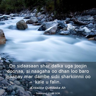 Picture 03 - Yexesqeel 23:48 SOM - Oo sidaasaan shar dalka uga joojin doonaa, si - Bible Verse Picture