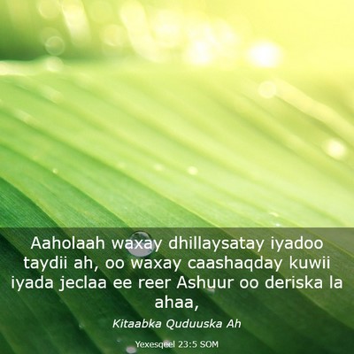 Picture 03 - Yexesqeel 23:5 SOM - Aaholaah waxay dhillaysatay iyadoo taydii ah, oo - Bible Verse Picture