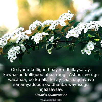 Picture 03 - Yexesqeel 23:7 SOM - Oo iyadu kulligood bay ka dhillaysatay, kuwaasoo - Bible Verse Picture