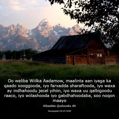 Picture 03 - Yexesqeel 24:25 SOM - Oo weliba Wiilka Aadamow, maalinta aan iyaga ka - Bible Verse Picture