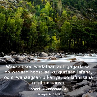 Picture 03 - Yexesqeel 24:5 SOM - Waxaad soo wadataan adhiga jarkiisa, oo waxaad - Bible Verse Picture