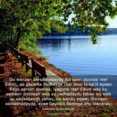 Picture 03 - Yexesqeel 25:14 SOM - Oo waxaan aarsashadayda dul saari doonaa reer - Bible Verse Picture