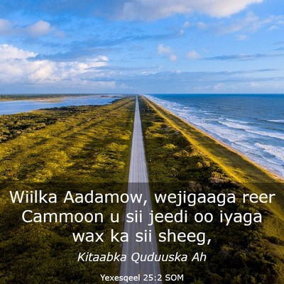 Picture 03 - Yexesqeel 25:2 SOM - Wiilka Aadamow, wejigaaga reer Cammoon u sii - Bible Verse Picture