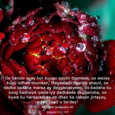 Picture 03 - Yexesqeel 26:17 SOM - Oo baroor ayay kor kuugu qaylin doonaan, oo waxay - Bible Verse Picture