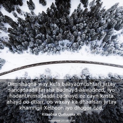 Picture 03 - Yexesqeel 27:18 SOM - Dimishaqna way kula baayacmushtari jirtay - Bible Verse Picture