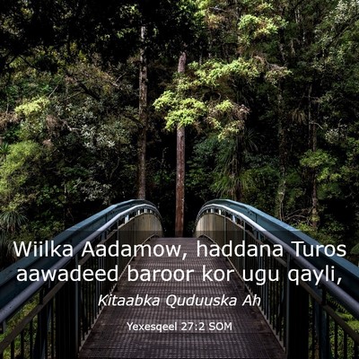 Picture 03 - Yexesqeel 27:2 SOM - Wiilka Aadamow, haddana Turos aawadeed baroor kor - Bible Verse Picture