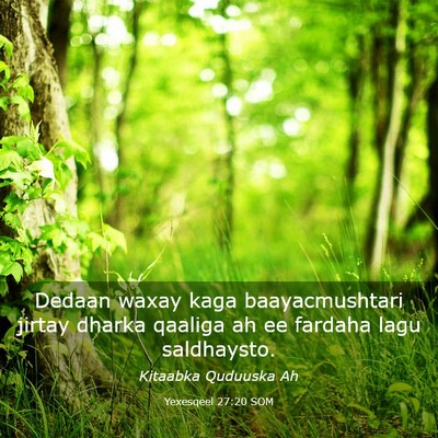 Picture 03 - Yexesqeel 27:20 SOM - Dedaan waxay kaga baayacmushtari jirtay dharka - Bible Verse Picture