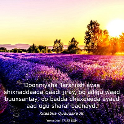 Picture 03 - Yexesqeel 27:25 SOM - Doonniyaha Tarshiish ayaa shixnaddaada qaadi - Bible Verse Picture