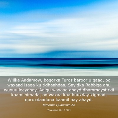 Picture 03 - Yexesqeel 28:12 SOM - Wiilka Aadamow, boqorka Turos baroor u qaad, oo - Bible Verse Picture