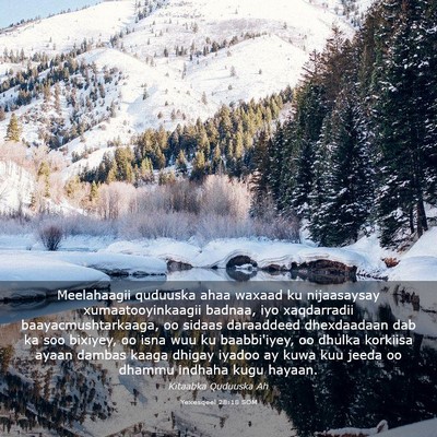 Picture 03 - Yexesqeel 28:18 SOM - Meelahaagii quduuska ahaa waxaad ku nijaasaysay - Bible Verse Picture