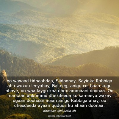 Picture 03 - Yexesqeel 28:22 SOM - oo waxaad tidhaahdaa, Siidoonay, Sayidka Rabbiga - Bible Verse Picture