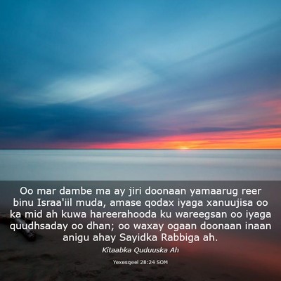 Picture 03 - Yexesqeel 28:24 SOM - Oo mar dambe ma ay jiri doonaan yamaarug reer - Bible Verse Picture