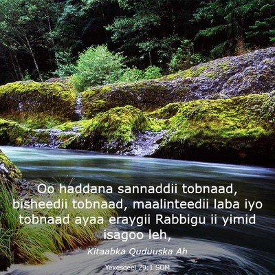Picture 03 - Yexesqeel 29:1 SOM - Oo haddana sannaddii tobnaad, bisheedii tobnaad, - Bible Verse Picture