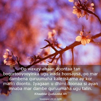 Picture 03 - Yexesqeel 29:15 SOM - Oo waxay ahaan doontaa tan boqortooyooyinka ugu - Bible Verse Picture