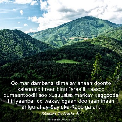 Picture 03 - Yexesqeel 29:16 SOM - Oo mar dambena siima ay ahaan doonto kalsoonidii - Bible Verse Picture