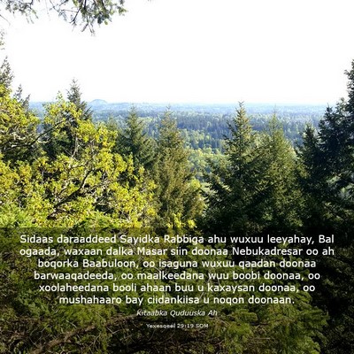 Picture 03 - Yexesqeel 29:19 SOM - Sidaas daraaddeed Sayidka Rabbiga ahu wuxuu - Bible Verse Picture
