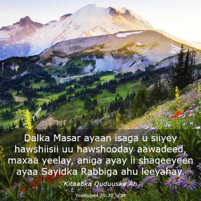 Picture 03 - Yexesqeel 29:20 SOM - Dalka Masar ayaan isaga u siiyey hawshiisii uu - Bible Verse Picture