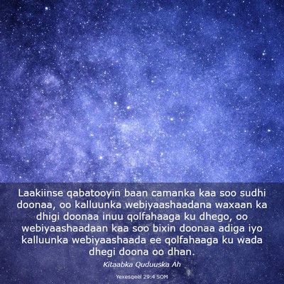 Picture 03 - Yexesqeel 29:4 SOM - Laakiinse qabatooyin baan camanka kaa soo sudhi - Bible Verse Picture
