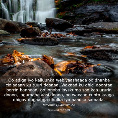 Picture 03 - Yexesqeel 29:5 SOM - Oo adiga iyo kalluunka webiyaashaada oo dhanba - Bible Verse Picture