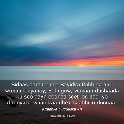Picture 03 - Yexesqeel 29:8 SOM - Sidaas daraaddeed Sayidka Rabbiga ahu wuxuu - Bible Verse Picture