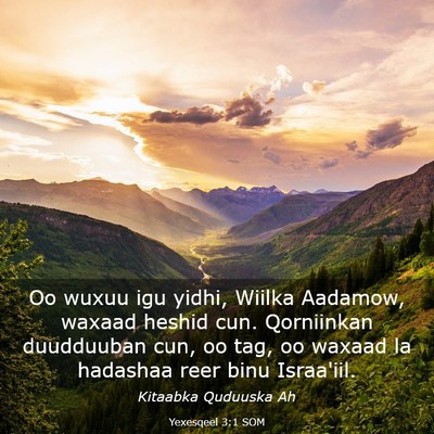 Picture 03 - Yexesqeel 3:1 SOM - Oo wuxuu igu yidhi, Wiilka Aadamow, waxaad heshid - Bible Verse Picture