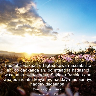Picture 03 - Yexesqeel 3:11 SOM - Haddaba waxaad u tagtaa kuwa maxaabiista ah, oo - Bible Verse Picture