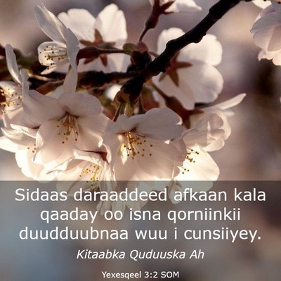 Picture 03 - Yexesqeel 3:2 SOM - Sidaas daraaddeed afkaan kala qaaday oo isna - Bible Verse Picture