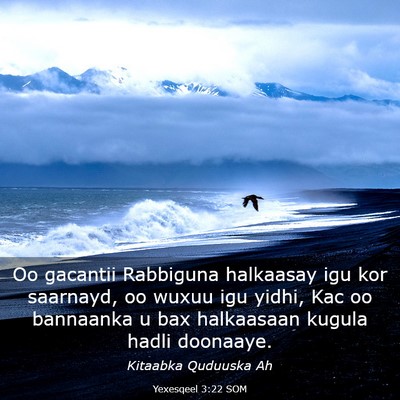 Picture 03 - Yexesqeel 3:22 SOM - Oo gacantii Rabbiguna halkaasay igu kor saarnayd, - Bible Verse Picture