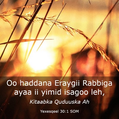 Picture 03 - Yexesqeel 30:1 SOM - Oo haddana Eraygii Rabbiga ayaa ii yimid isagoo - Bible Verse Picture