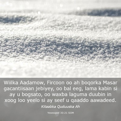 Picture 03 - Yexesqeel 30:21 SOM - Wiilka Aadamow, Fircoon oo ah boqorka Masar - Bible Verse Picture