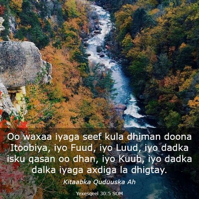 Picture 03 - Yexesqeel 30:5 SOM - Oo waxaa iyaga seef kula dhiman doona Itoobiya, - Bible Verse Picture
