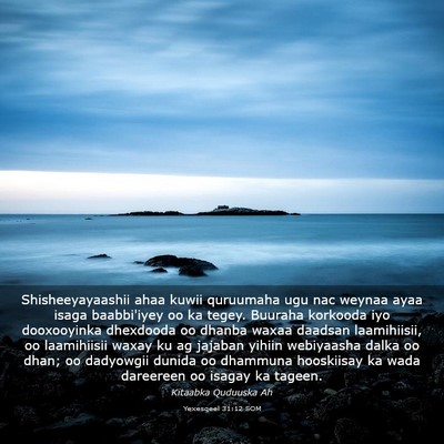 Picture 03 - Yexesqeel 31:12 SOM - Shisheeyayaashii ahaa kuwii quruumaha ugu nac - Bible Verse Picture