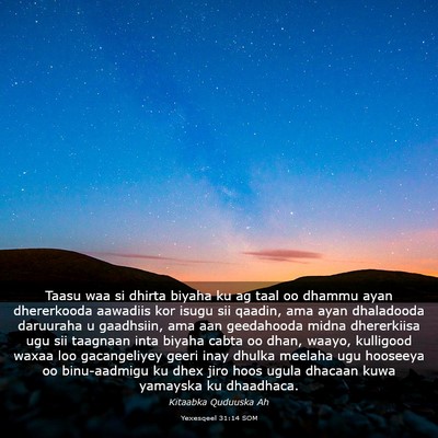 Picture 03 - Yexesqeel 31:14 SOM - Taasu waa si dhirta biyaha ku ag taal oo dhammu - Bible Verse Picture