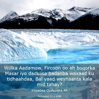 Picture 03 - Yexesqeel 31:2 SOM - Wiilka Aadamow, Fircoon oo ah boqorka Masar iyo - Bible Verse Picture