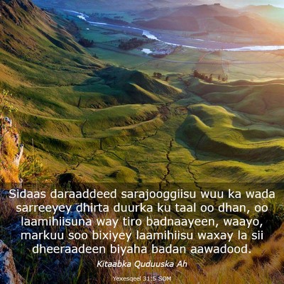 Picture 03 - Yexesqeel 31:5 SOM - Sidaas daraaddeed sarajooggiisu wuu ka wada - Bible Verse Picture