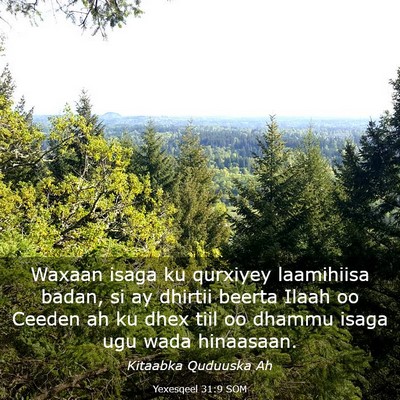 Picture 03 - Yexesqeel 31:9 SOM - Waxaan isaga ku qurxiyey laamihiisa badan, si ay - Bible Verse Picture