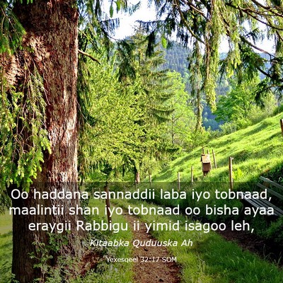 Picture 03 - Yexesqeel 32:17 SOM - Oo haddana sannaddii laba iyo tobnaad, maalintii - Bible Verse Picture