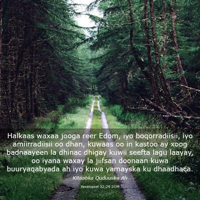 Picture 03 - Yexesqeel 32:29 SOM - Halkaas waxaa jooga reer Edom, iyo boqorradiisii, - Bible Verse Picture