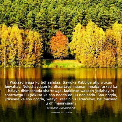 Picture 03 - Yexesqeel 33:11 SOM - Waxaad iyaga ku tidhaahdaa, Sayidka Rabbiga ahu - Bible Verse Picture
