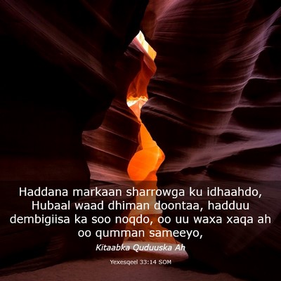 Picture 03 - Yexesqeel 33:14 SOM - Haddana markaan sharrowga ku idhaahdo, Hubaal - Bible Verse Picture