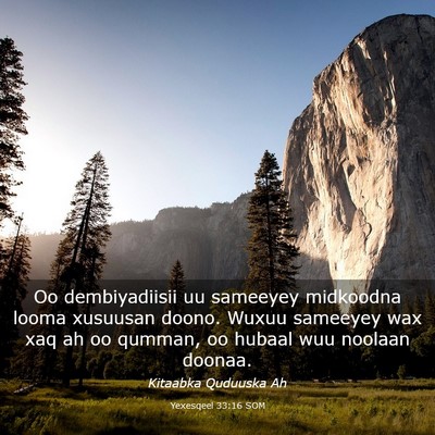 Picture 03 - Yexesqeel 33:16 SOM - Oo dembiyadiisii uu sameeyey midkoodna looma - Bible Verse Picture