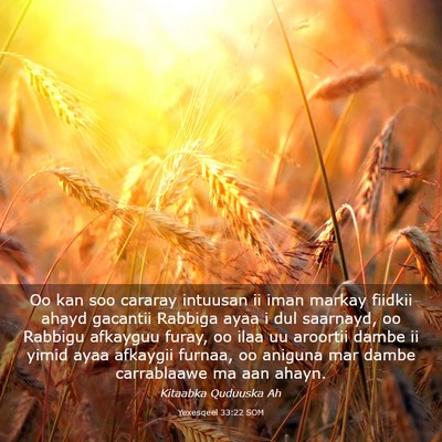 Picture 03 - Yexesqeel 33:22 SOM - Oo kan soo cararay intuusan ii iman markay - Bible Verse Picture