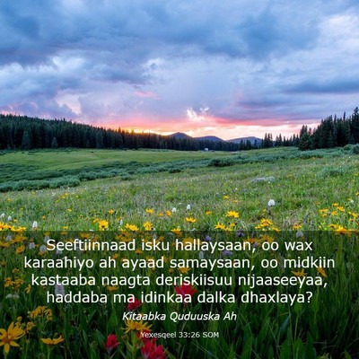 Picture 03 - Yexesqeel 33:26 SOM - Seeftiinnaad isku hallaysaan, oo wax karaahiyo ah - Bible Verse Picture